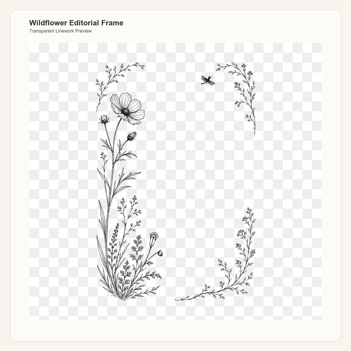Wildflower Editorial Frame transparent linework PNG preview for embroidery pattern transfer
