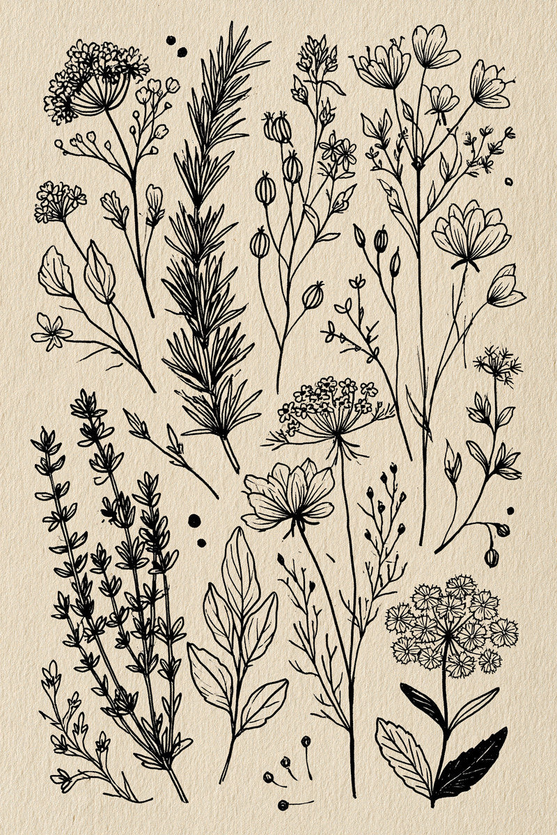 Herb And Meadow Filler Library 02 from Botanical Sprig Library Book 10, a digital embroidery design reference for machine embroidery designs, embroidery patterns and small motif and accent designs.