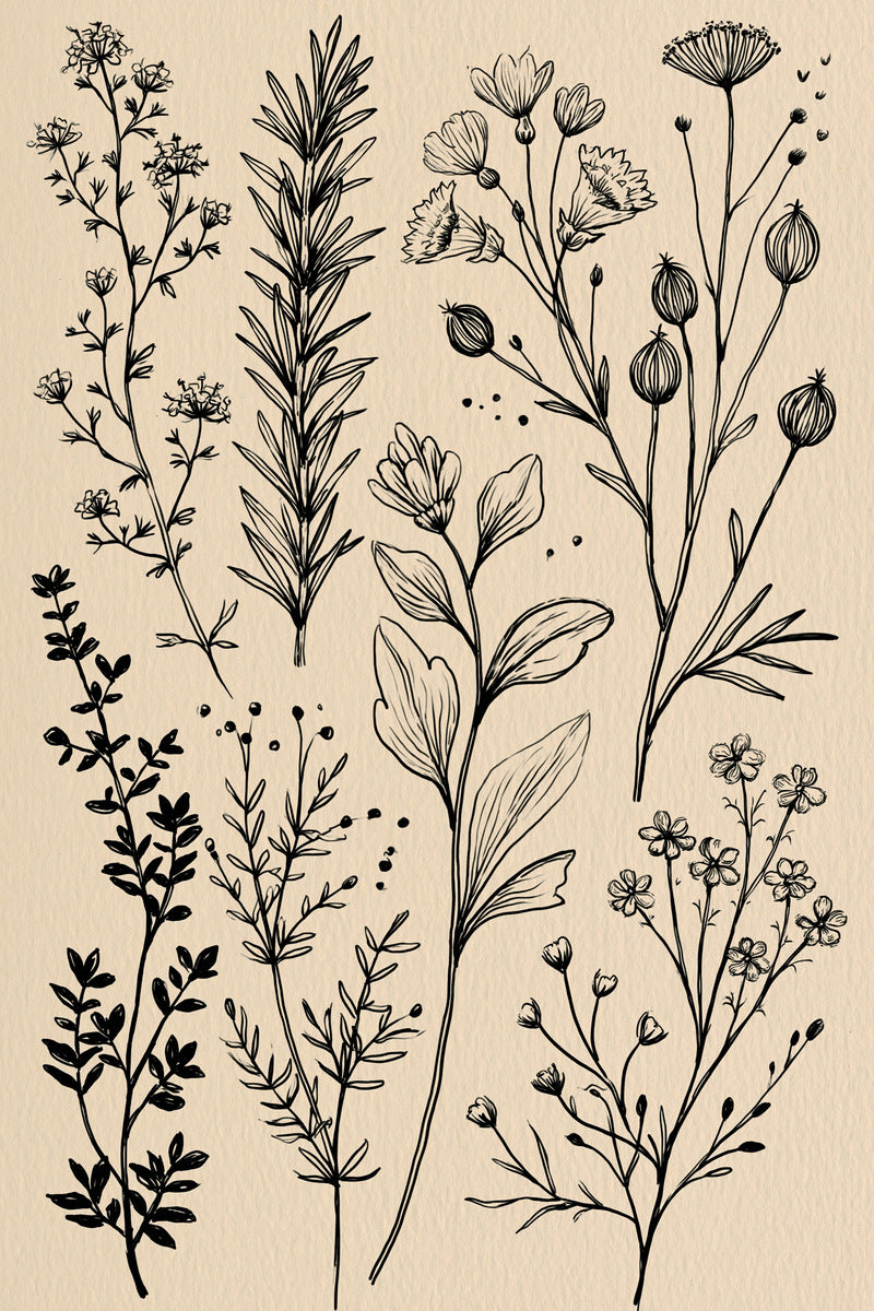 Herb And Meadow Filler Library from Botanical Sprig Library Book 10, a digital embroidery design reference for machine embroidery designs, embroidery patterns and small motif and accent designs.