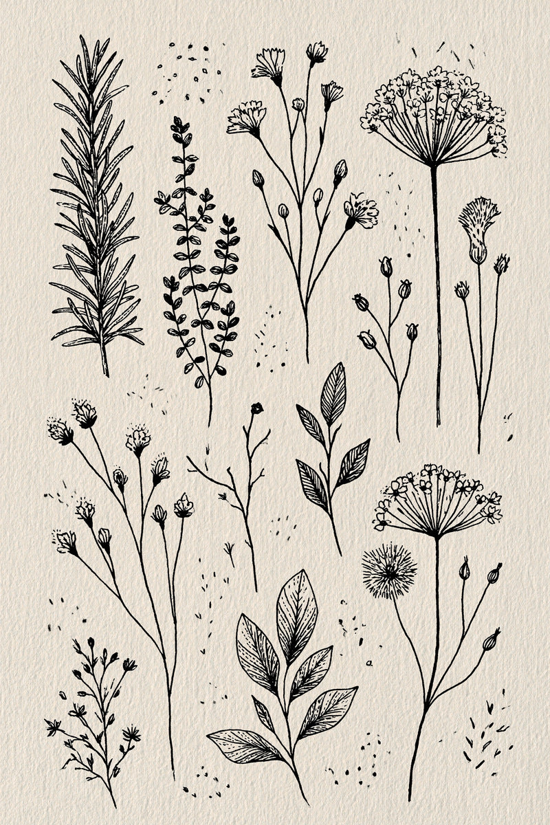 Herb And Meadow Filler Library from Botanical Sprig Library Book 3, a digital embroidery design reference for machine embroidery designs, embroidery patterns and small motif and accent designs.