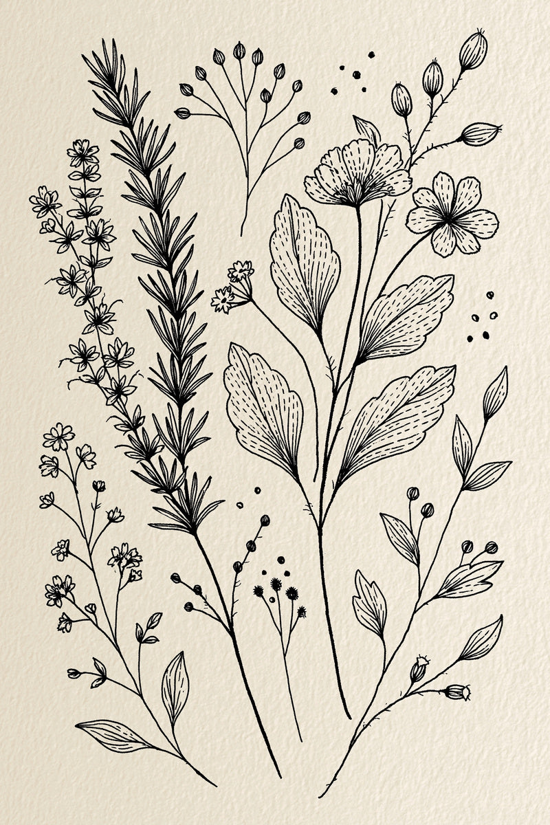 Herb And Meadow Filler Library from Botanical Sprig Library Book 8, a digital embroidery design reference for machine embroidery designs, embroidery patterns and small motif and accent designs.
