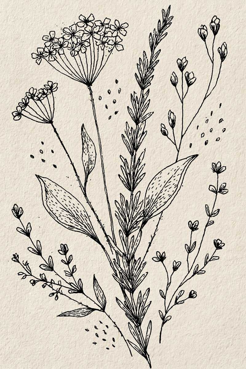 Herb And Meadow Filler Library from Botanical Sprig Library Book 9, a digital embroidery design reference for machine embroidery designs, embroidery patterns and small motif and accent designs.