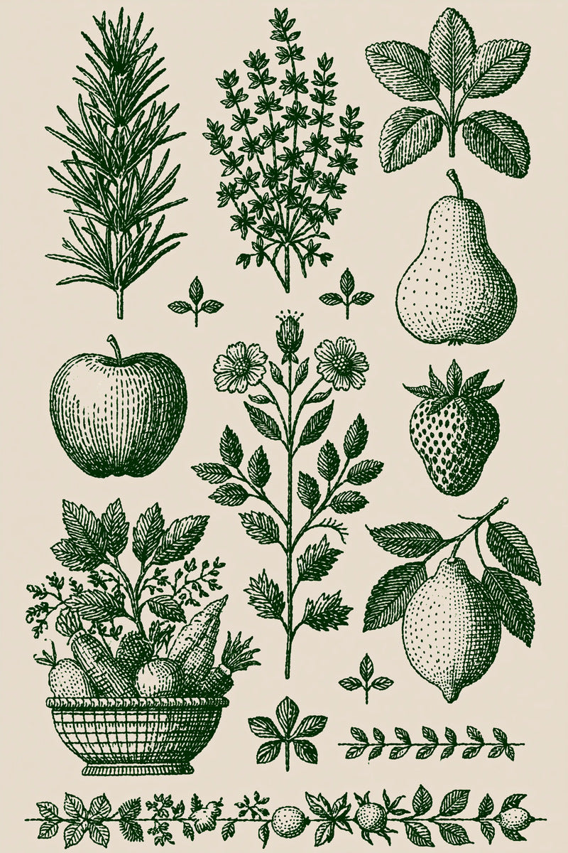 Herbs Fruits And Vegetables Set from Kitchen Towels & Aprons Embroidery Book 2, a digital embroidery design reference for machine embroidery designs, embroidery patterns and linen and home textile projects.
