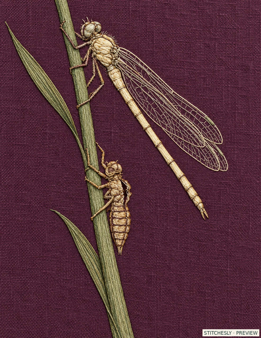Study 26 B, New Dragonfly Above the Empty Skin. Embroidered textile interpretation from The Insect Embroidery Cabinet.