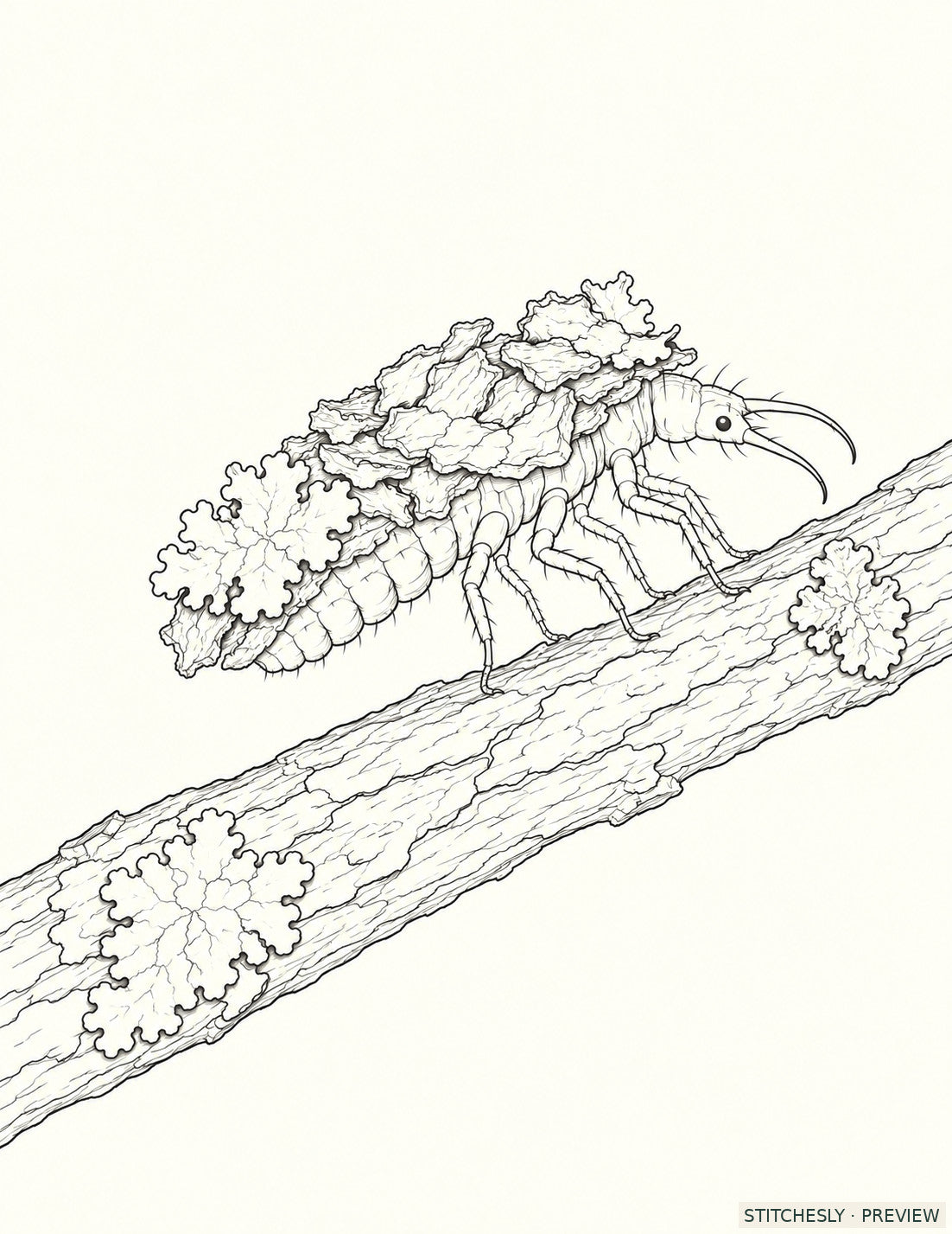 Study 48 A, Lacewing Larva Under the Debris Mantle. Reference drawing from The Insect Embroidery Cabinet.