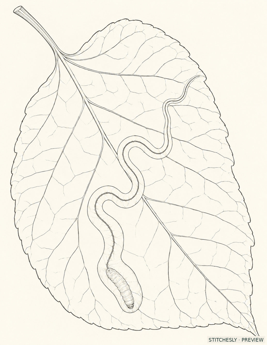 Study 52 A, Leaf Miner Behind the Pale Serpentine. Reference drawing from The Insect Embroidery Cabinet.