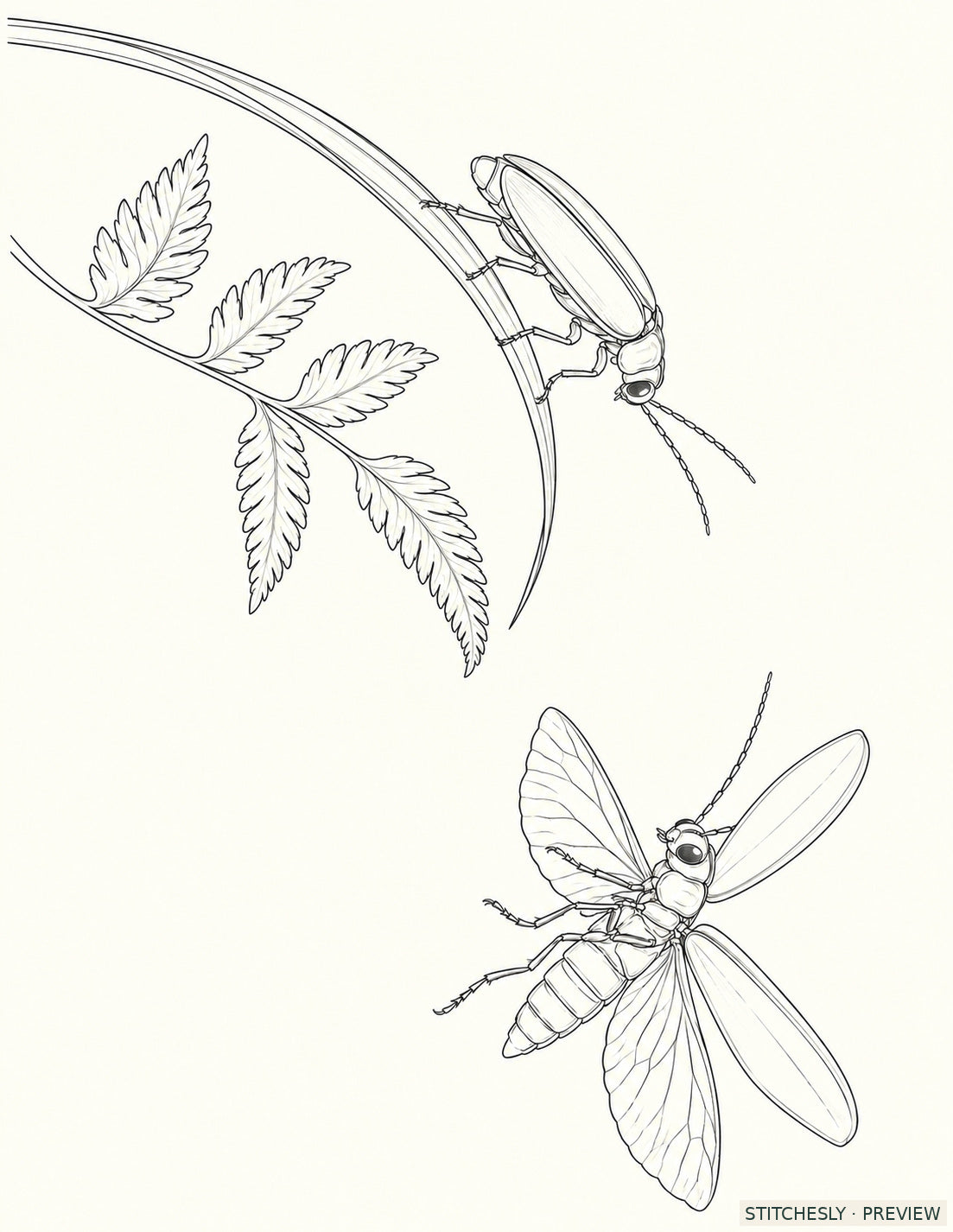 Study 65 A, Two Fireflies Across the Fern Opening. Reference drawing from The Insect Embroidery Cabinet.