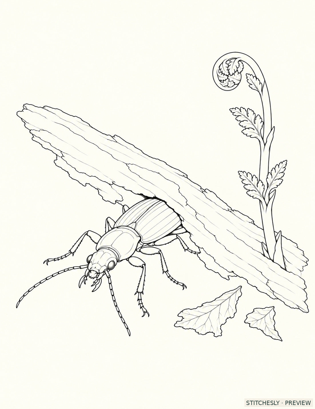 Study 80 A, Beetle and New Shoot at the Spring Opening. Reference drawing from The Insect Embroidery Cabinet.