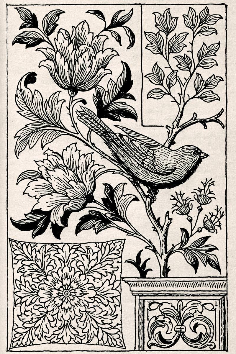 Bird decorative panel, original design drawing reference. Jacobean and Crewel Embroidery, Book One.