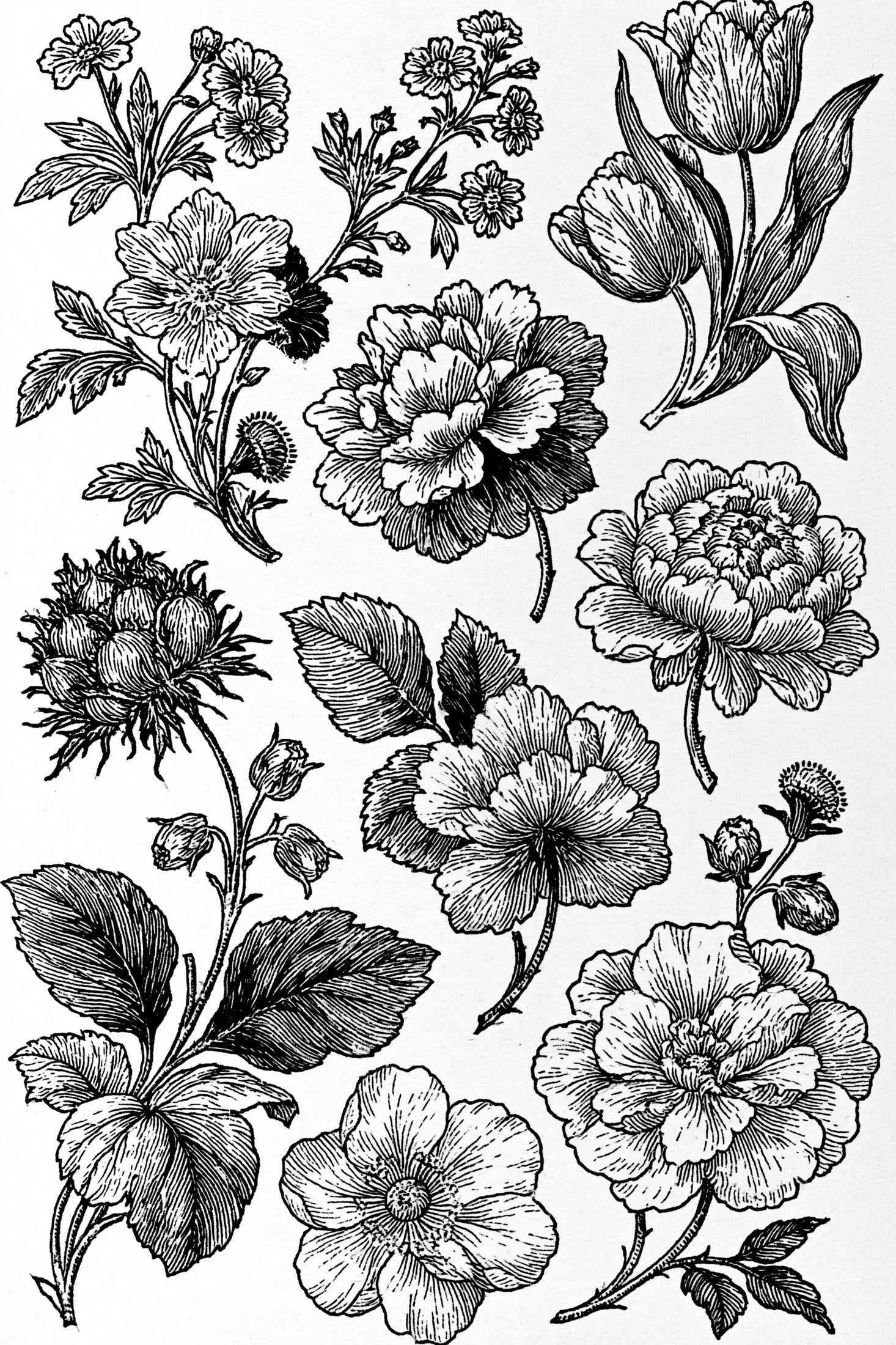 Digital PDF embroidery design bundle cover preview for Home Decor, Scale & Modular Systems Bundle 4, featuring curated embroidery patterns, motif library references and textile… - preview 27