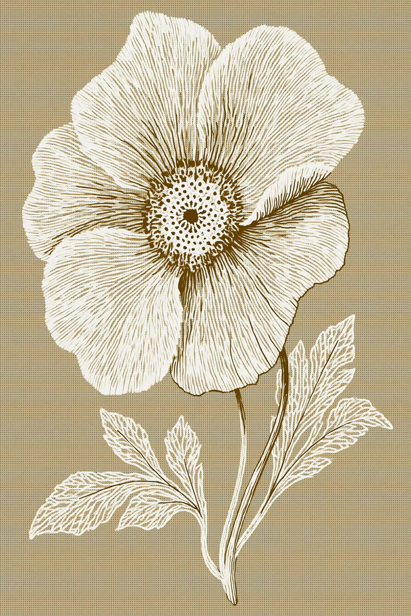 La Broderie Blanche Flower Motif from French Embroidery & La Broderie Blanche Book 3, a digital embroidery design reference for machine embroidery designs, embroidery patterns and lace and broderie details.