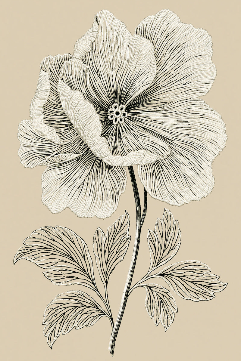 La Broderie Blanche Flower Motif from French Embroidery & La Broderie Blanche Book 6, a digital embroidery design reference for machine embroidery designs, embroidery patterns and lace and broderie details.
