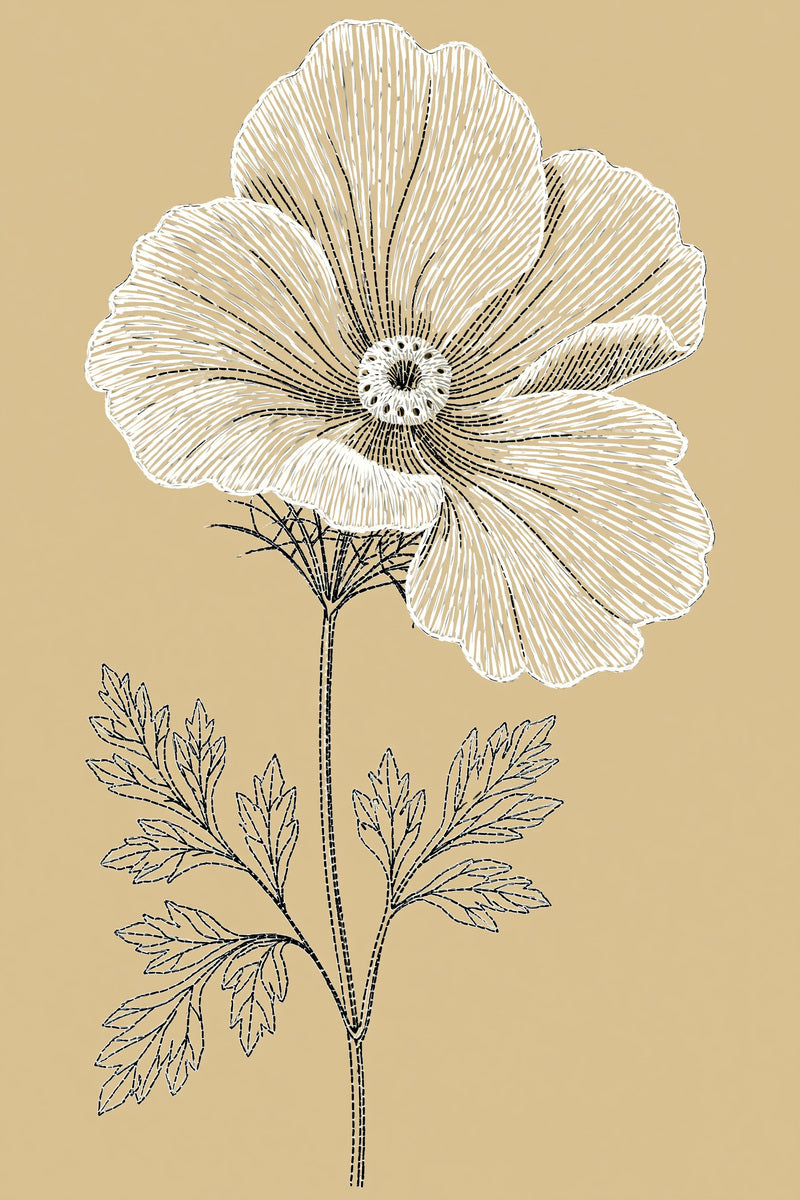 La Broderie Blanche Flower Motif from French Embroidery & La Broderie Blanche Book 8, a digital embroidery design reference for machine embroidery designs, embroidery patterns and lace and broderie details.