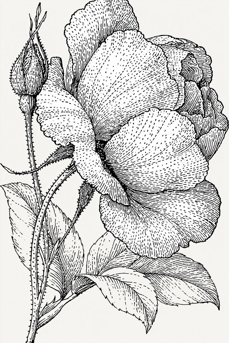 Large Rosebud Botanical Panel Jumbo from Jumbo - Large Scale Designs Book 2, a digital embroidery design reference for machine embroidery designs, embroidery patterns and botanical and floral embroidery.