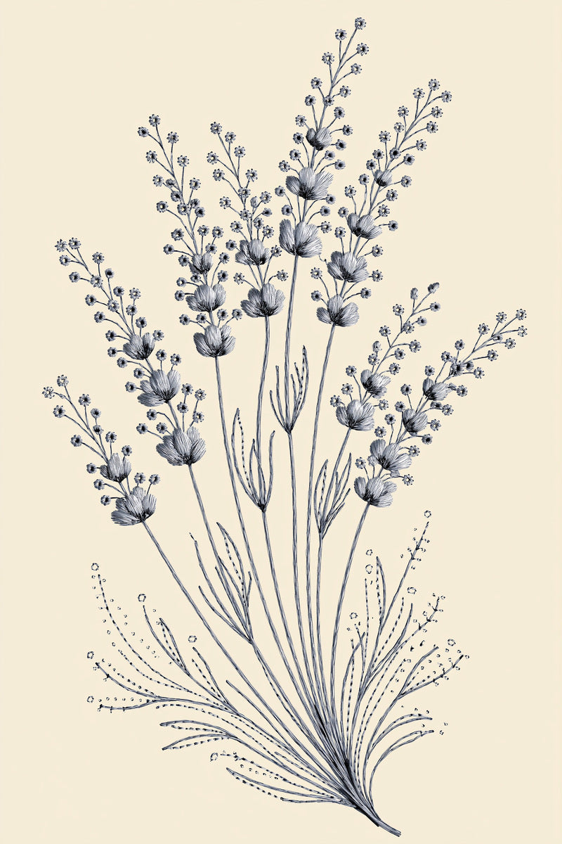 Lavender Sachet French Motif French from French Embroidery & La Broderie Blanche Book 5, a digital embroidery design reference for machine embroidery designs, embroidery patterns and lace and broderie details.