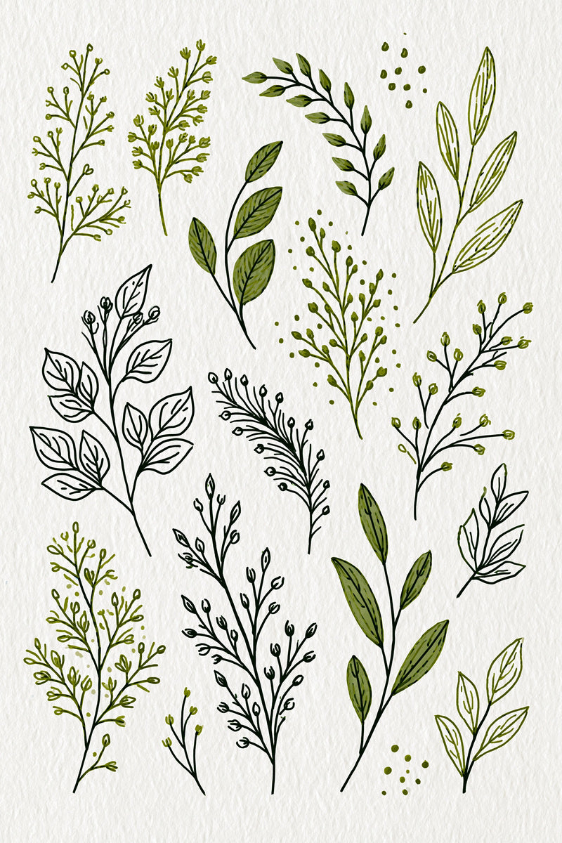Leaf Cluster Botanical Library Plate 02 from Botanical Sprig Library Book 7, a digital embroidery design reference for machine embroidery designs, embroidery patterns and small motif and accent designs.
