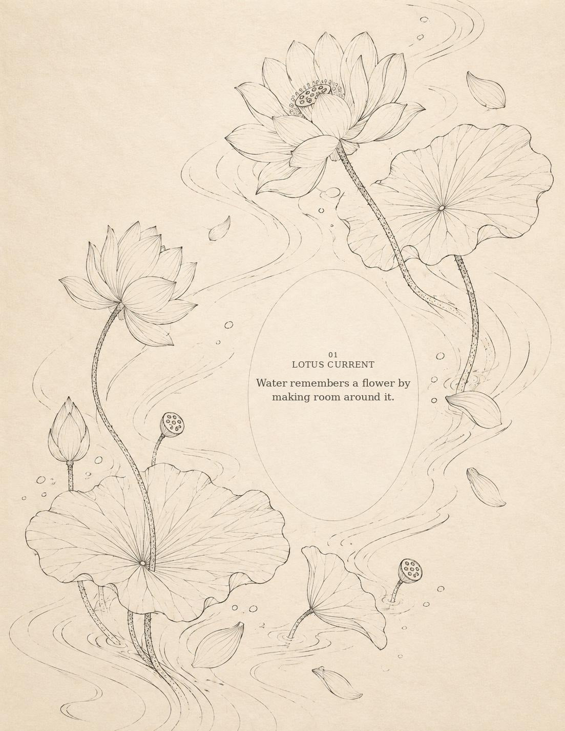 Lotus Current botanical line drawing from The Cloth Remembers repair stitch study