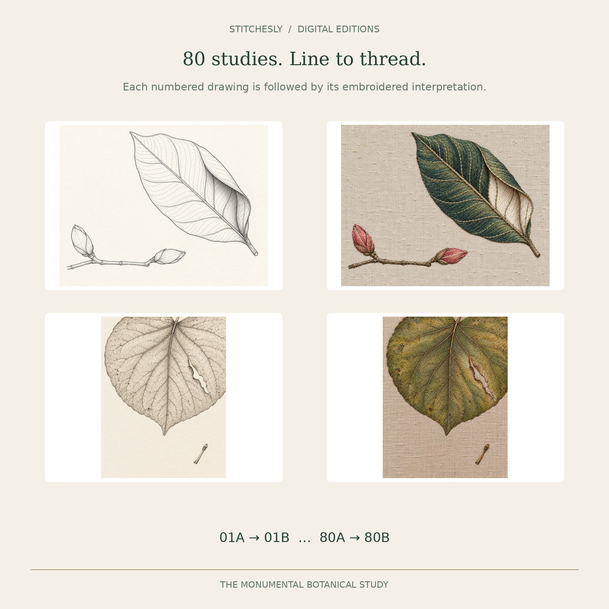 Overview of the A/B sequence with Studies 13 and 61: botanical drawing A and embroidered textile interpretation B; all 80 studies follow the same ordered structure.