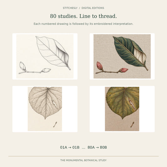 Overview of the A/B sequence with Studies 13 and 61: botanical drawing A and embroidered textile interpretation B; all 80 studies follow the same ordered structure.