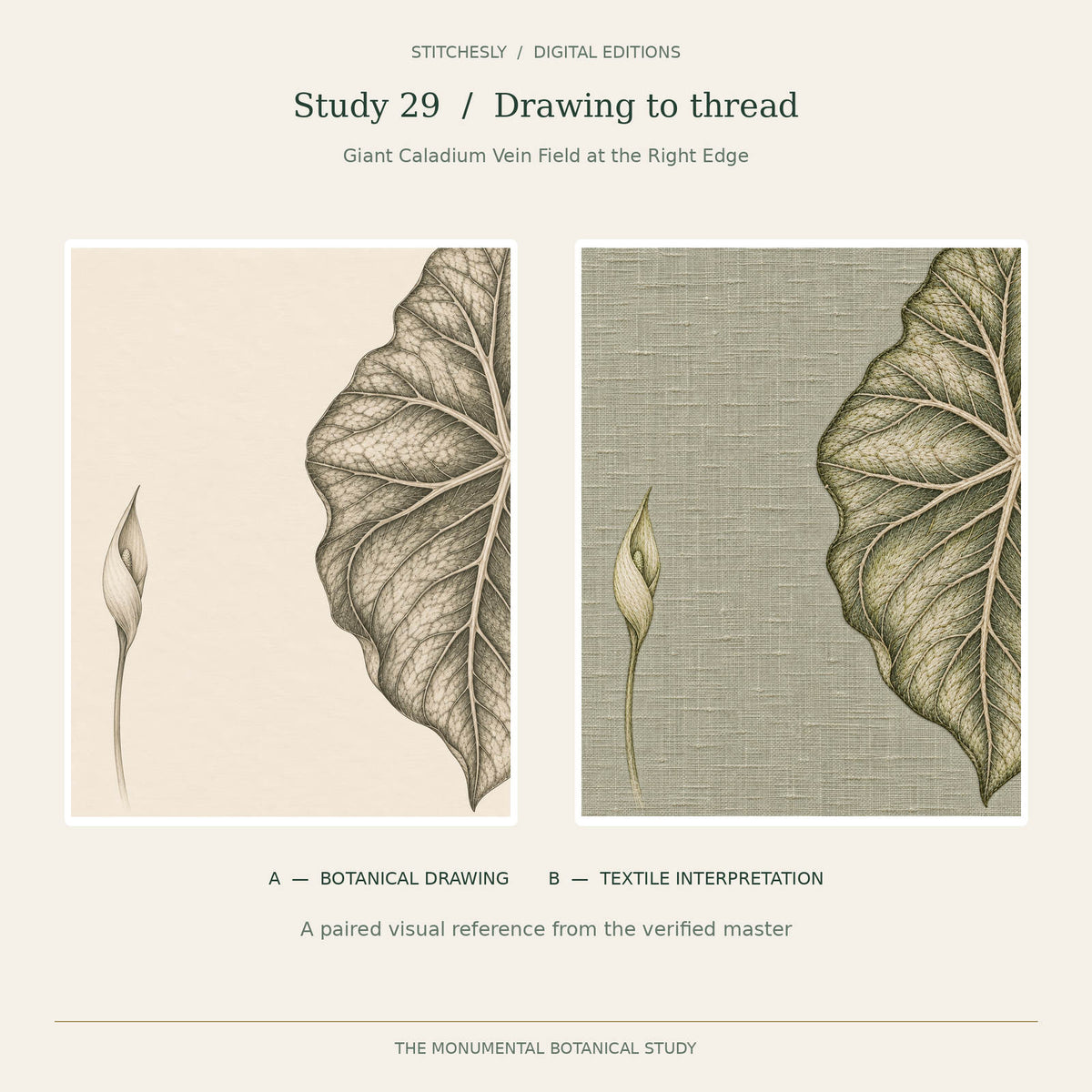 Study 29, Giant Caladium Vein Field at the Right Edge: A botanical drawing on the left and B embroidered textile interpretation on the right, reproduced from the verified Monumental Botanicals master.