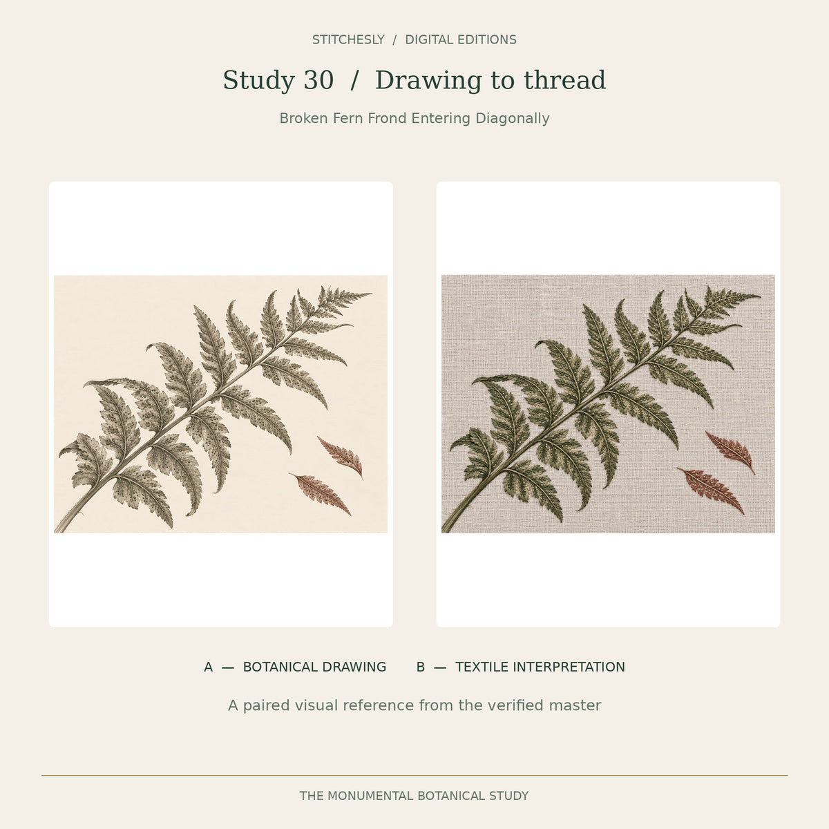 Study 30, Broken Fern Frond Entering Diagonally: A botanical drawing on the left and B embroidered textile interpretation on the right, reproduced from the verified Monumental Botanicals master.