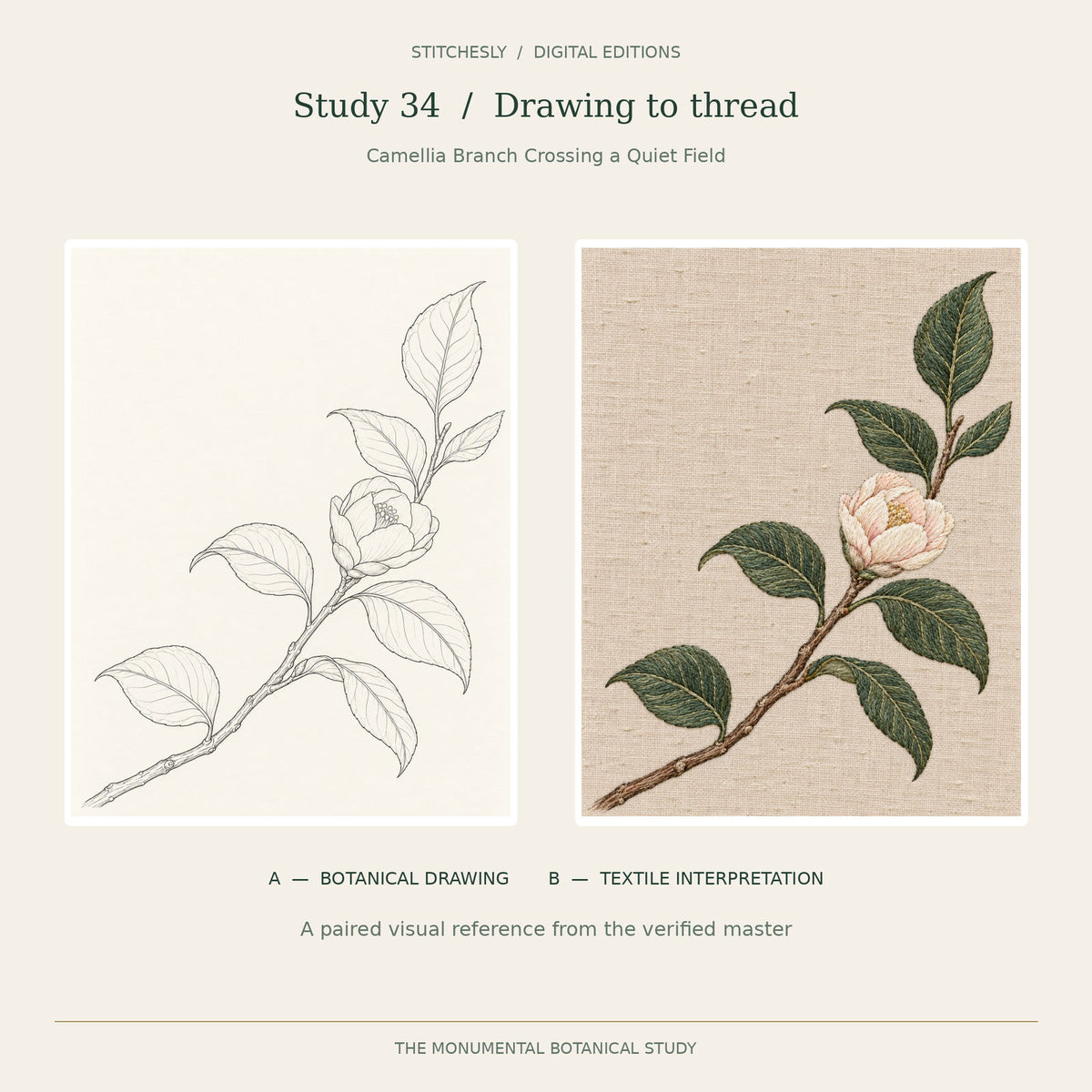 Study 34, Camellia Branch Crossing a Quiet Field: A botanical drawing on the left and B embroidered textile interpretation on the right, reproduced from the verified Monumental Botanicals master.