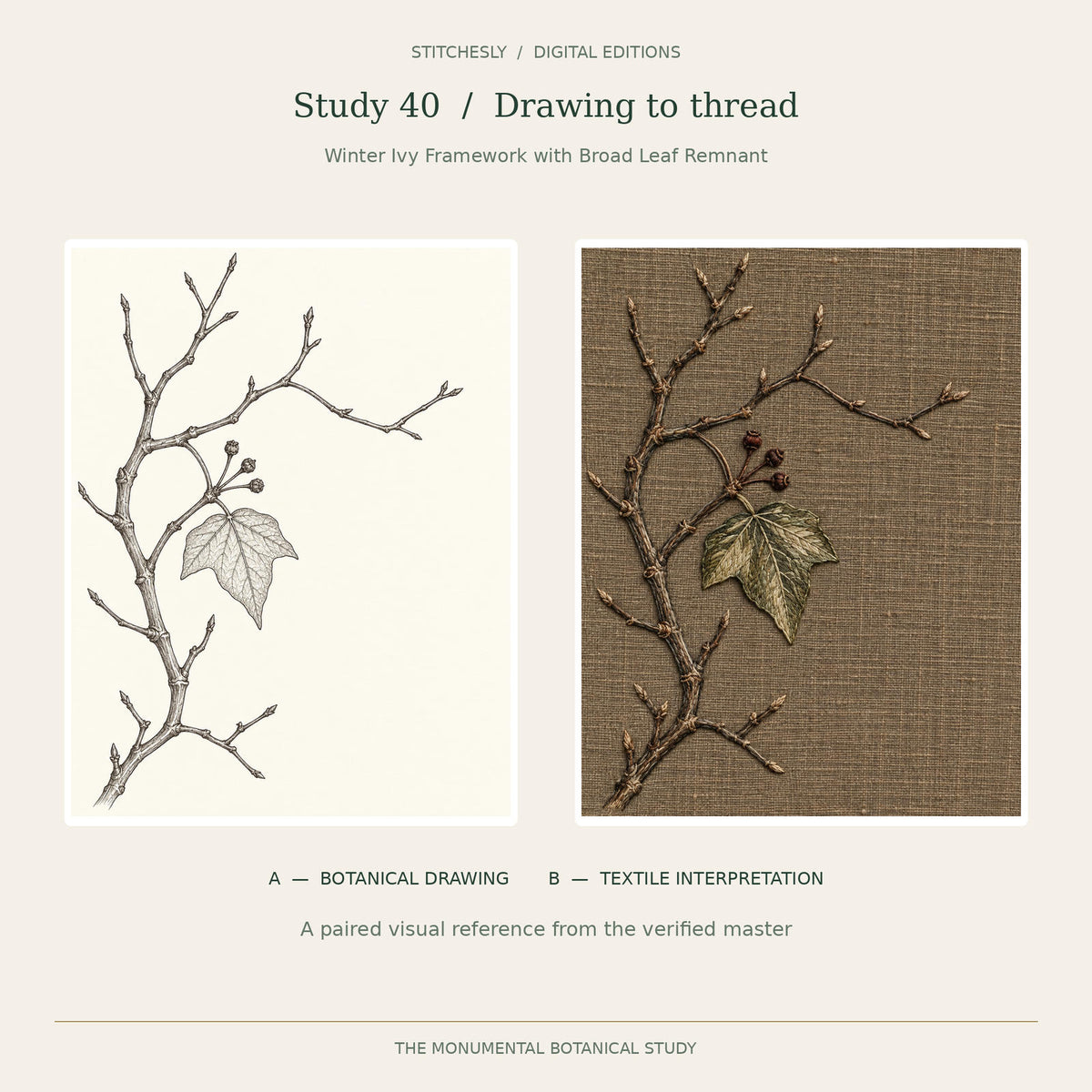 Study 40, Winter Ivy Framework with Broad Leaf Remnant: A botanical drawing on the left and B embroidered textile interpretation on the right, reproduced from the verified Monumental Botanicals master.