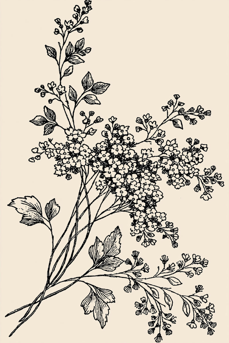 Original drawing of airy small blossom and bud bouquet, from Napkins, Table Runners and Kitchen Linens Book One.