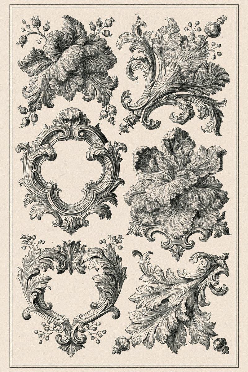 Original design: a specimen sheet with two ornate empty floral frames, two layered flowers, two acanthus scroll ornaments and the original fine double page border.