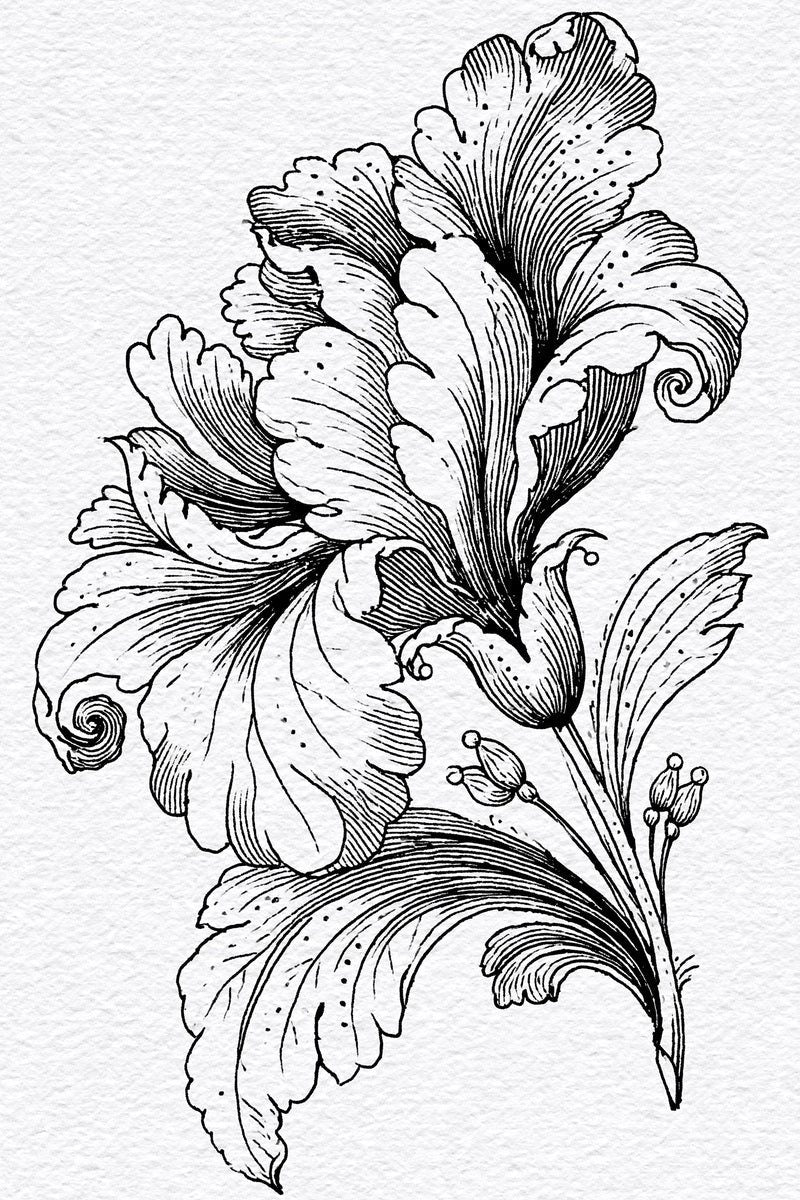 Original design: one tall flowing baroque flower sprig with curled scalloped petals, a sweeping leaf, fine stem and small buds.