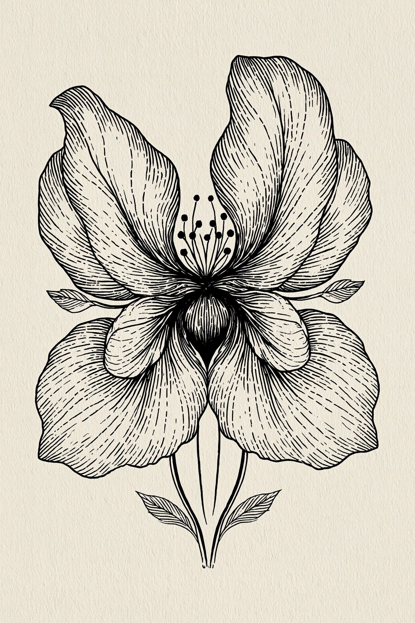Digital PDF embroidery design bundle cover preview for Ornamental Borders & Baroque Frames Bundle 3, featuring curated embroidery patterns, motif library references and textile… - preview 19