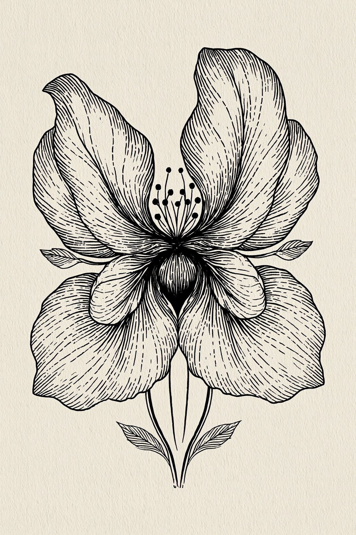 Digital PDF embroidery design bundle cover preview for Ornamental Borders & Baroque Frames Bundle 3, featuring curated embroidery patterns, motif library references and textile… - preview 19