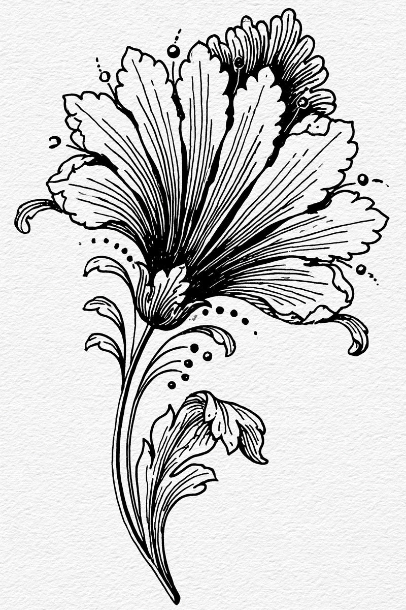 Neo Baroque Petal Fan Neo from Neo Baroque Petal Forms Book 1, a digital embroidery design reference for machine embroidery designs, embroidery patterns and embroidery design reference.