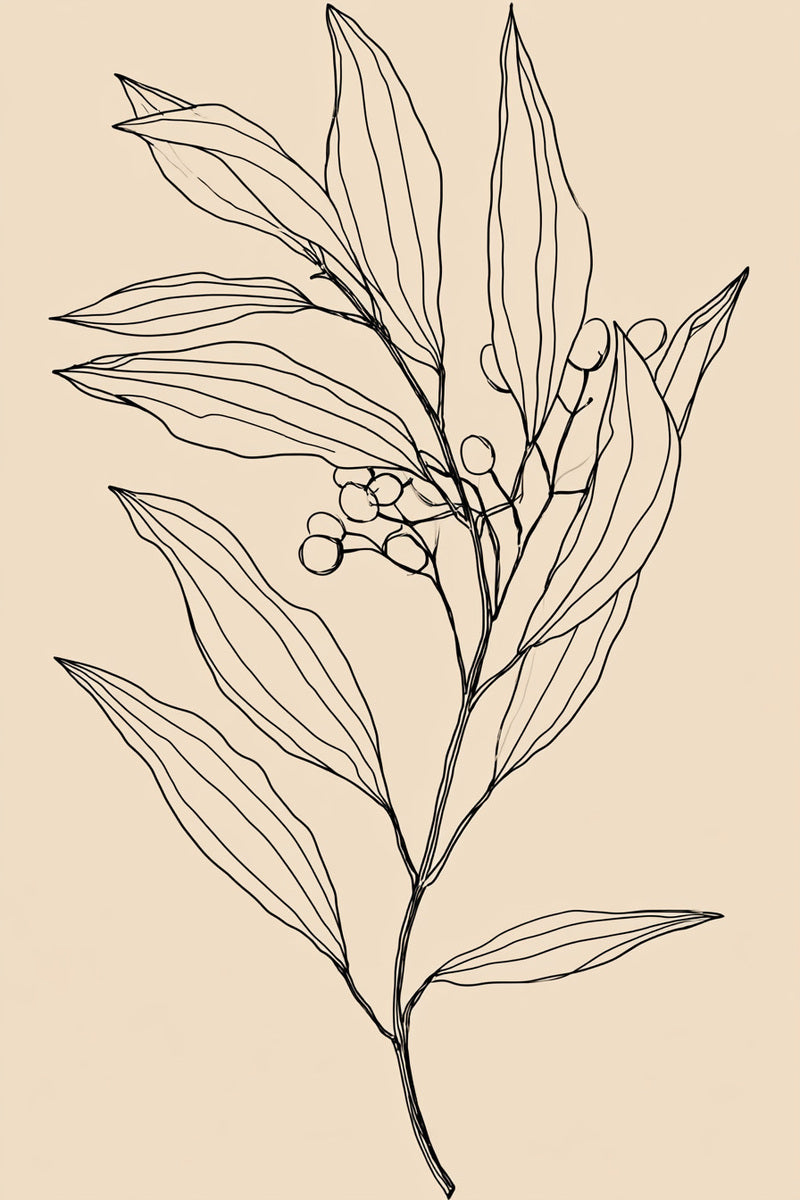 Olive Leaf Branch 02 from Botanical Embroidery Designs Book 4, a digital embroidery design reference for machine embroidery designs, embroidery patterns and botanical and floral embroidery.