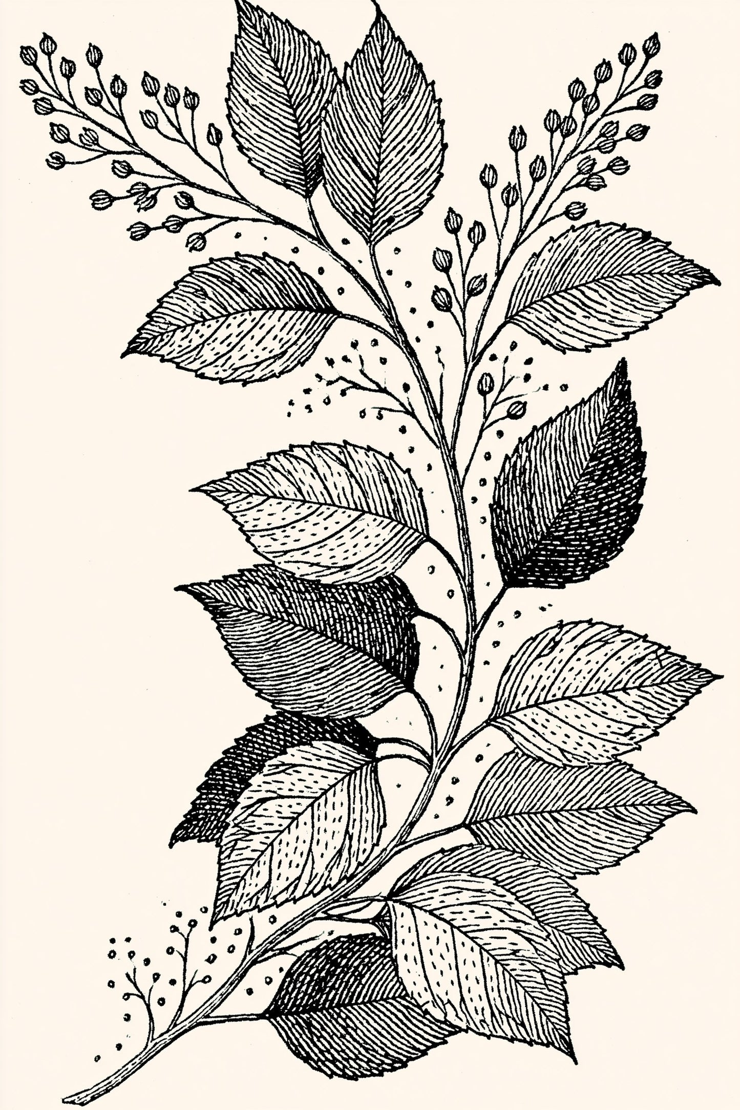 Digital PDF embroidery design bundle cover preview for Monochrome Stitch Language Bundle 1, featuring curated embroidery patterns, motif library references and textile design… - preview 13