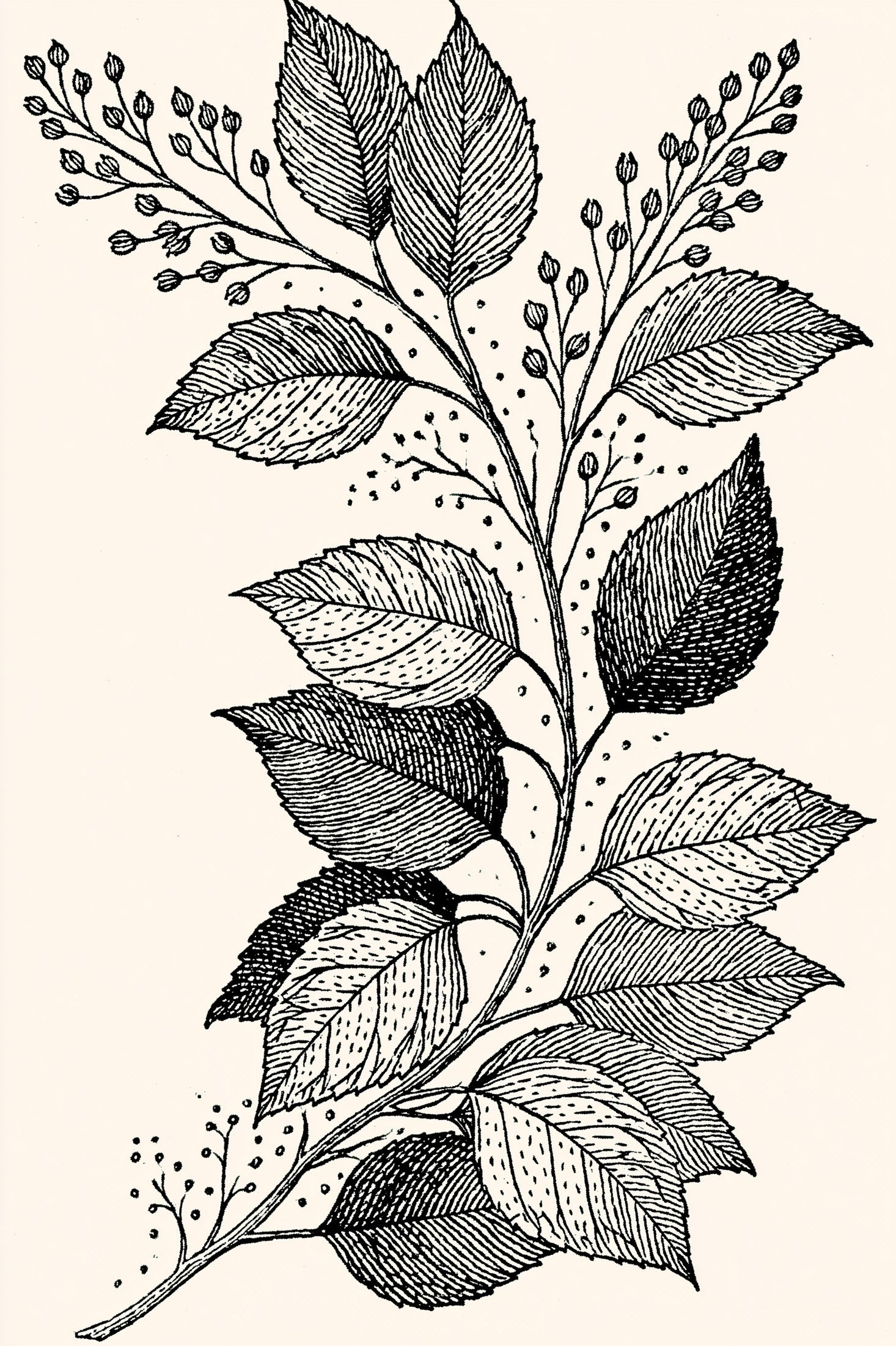 Digital PDF embroidery design bundle cover preview for Monochrome Stitch Language Bundle 1, featuring curated embroidery patterns, motif library references and textile design… - preview 13