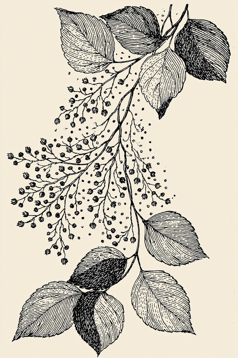 Single Color Embroidery Designs Book 32 Product Book 2 digital PDF embroidery design book - product image 14
