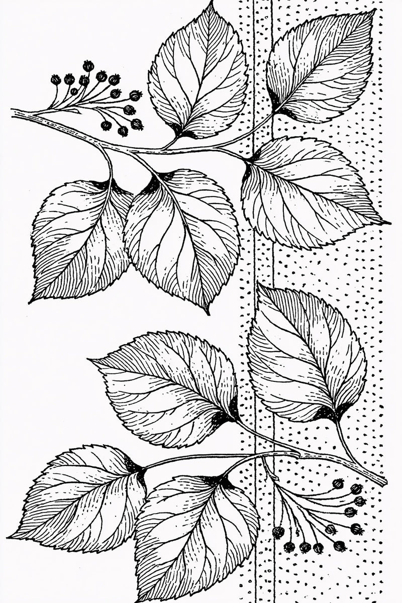Single Color Embroidery Designs Book 32 Product Book 3 digital PDF embroidery design book - product image 18