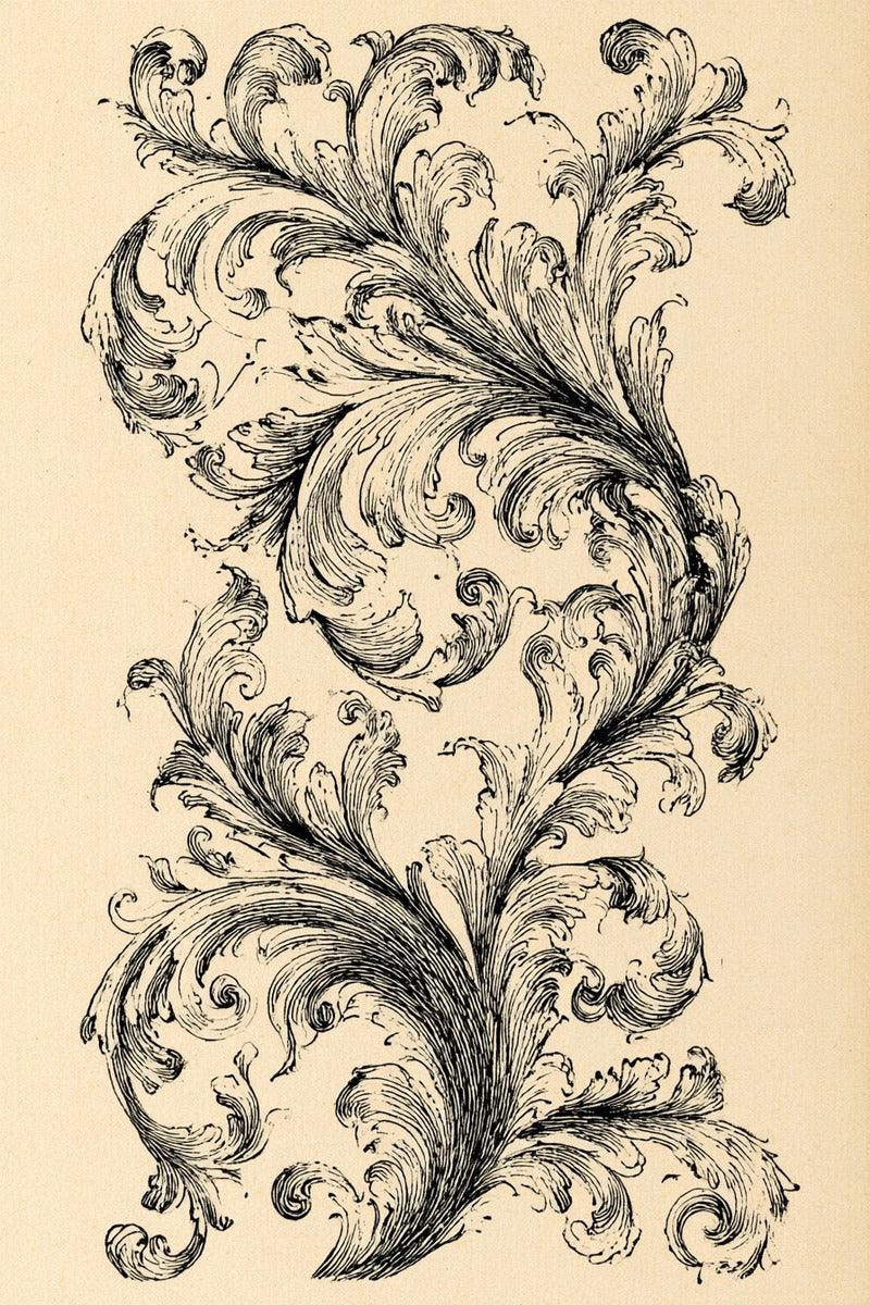 Drawing of an ornamental vertical border with flowing acanthus filigree.