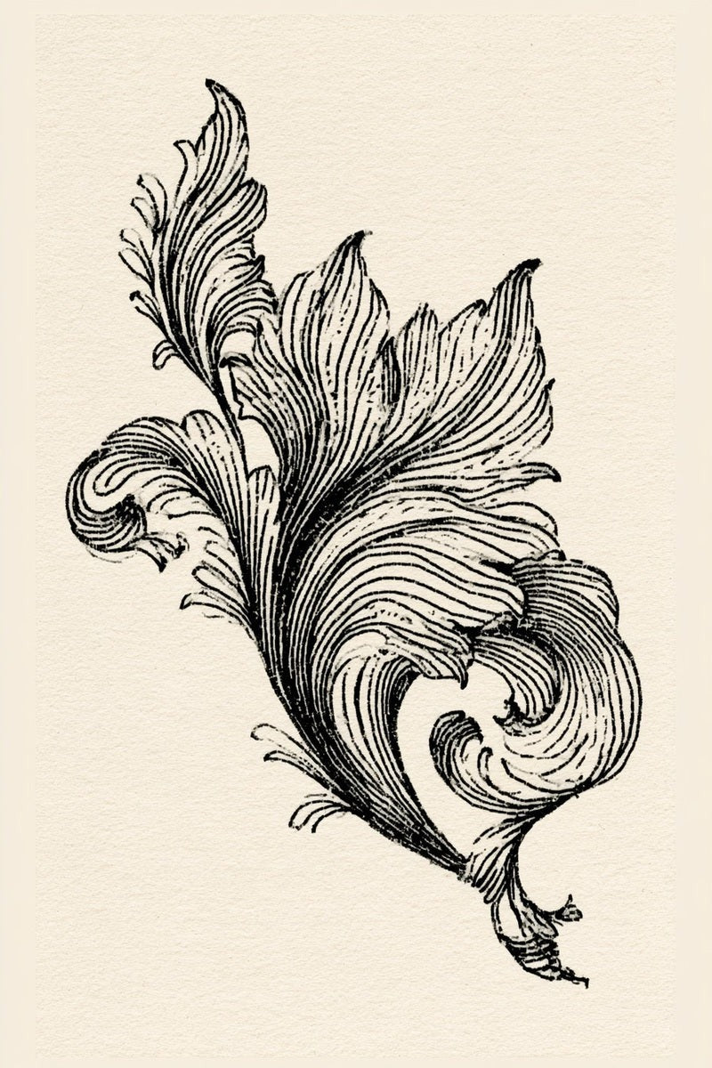 Drawing of a small acanthus corner ornament with curled leaves.