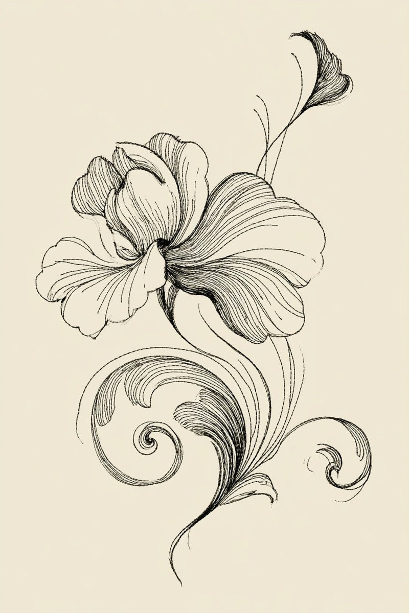 Drawing of a single flower above a curled ornamental scroll stem.