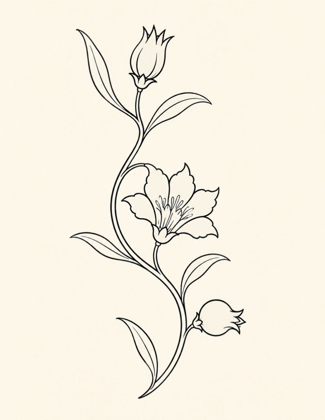 The Drawn Garden page showing a curving Ottoman floral stem with one open bloom, two buds and four slender leaves.
