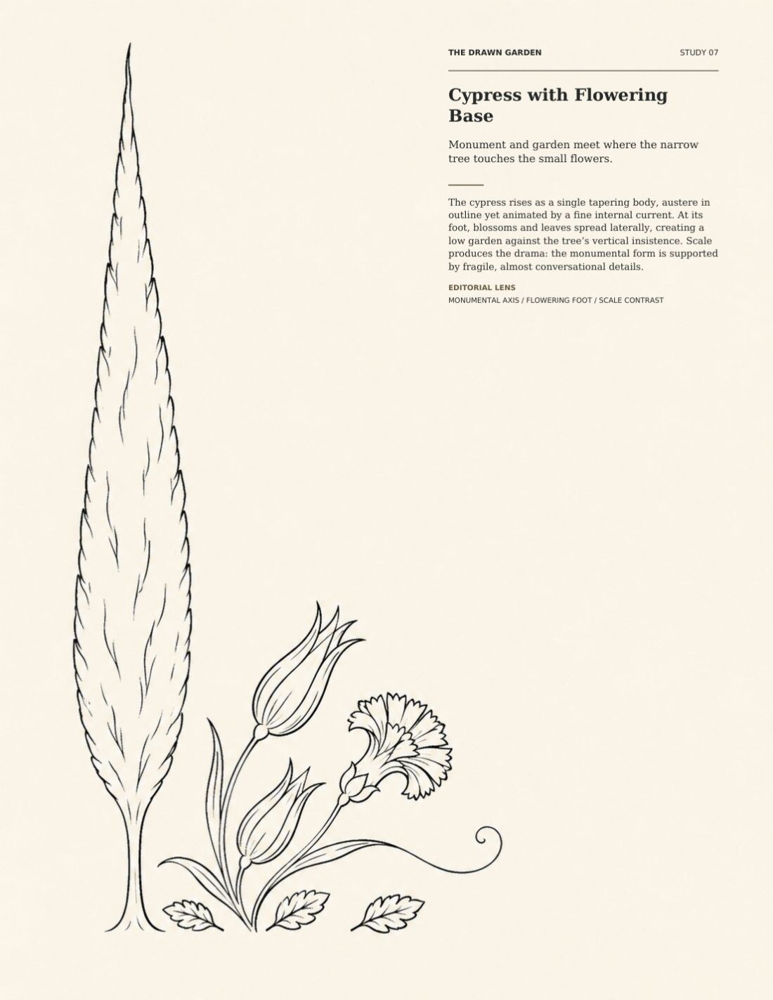 The Drawn Garden page featuring a monumental cypress with a small flowering base as a spacious monochrome Ottoman composition.
