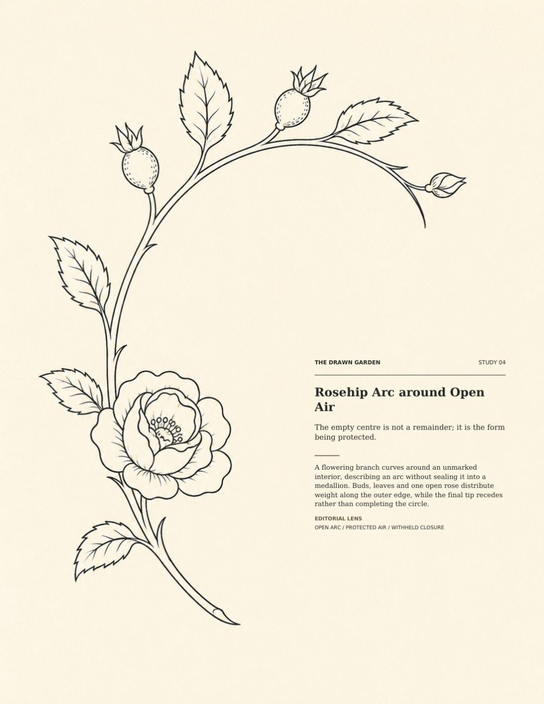 The Drawn Garden page showing a rosehip branch, open rose, leaves and buds curving around a spacious blank centre.