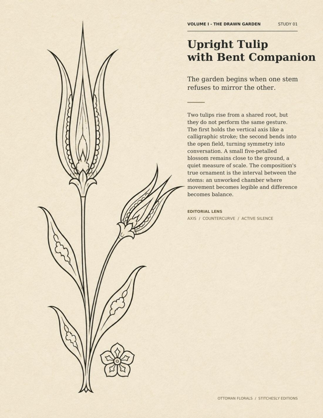 The Drawn Garden book page featuring Upright Tulip with Bent Companion as a monochrome Ottoman floral line drawing.