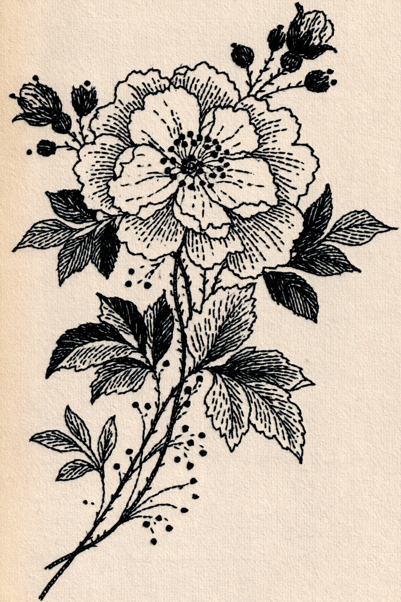 Pocket Appliqu Motif Appliqu Compatible from Appliqué Compatible Designs Book 1, a digital embroidery design reference for machine embroidery designs, embroidery patterns and garment placement ideas.