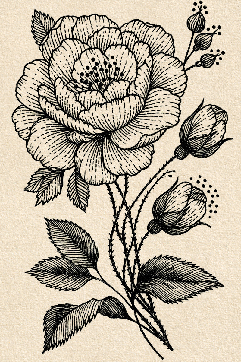 Pocket Appliqu Motif Appliqu Compatible from Appliqué Compatible Designs Book 3, a digital embroidery design reference for machine embroidery designs, embroidery patterns and garment placement ideas.