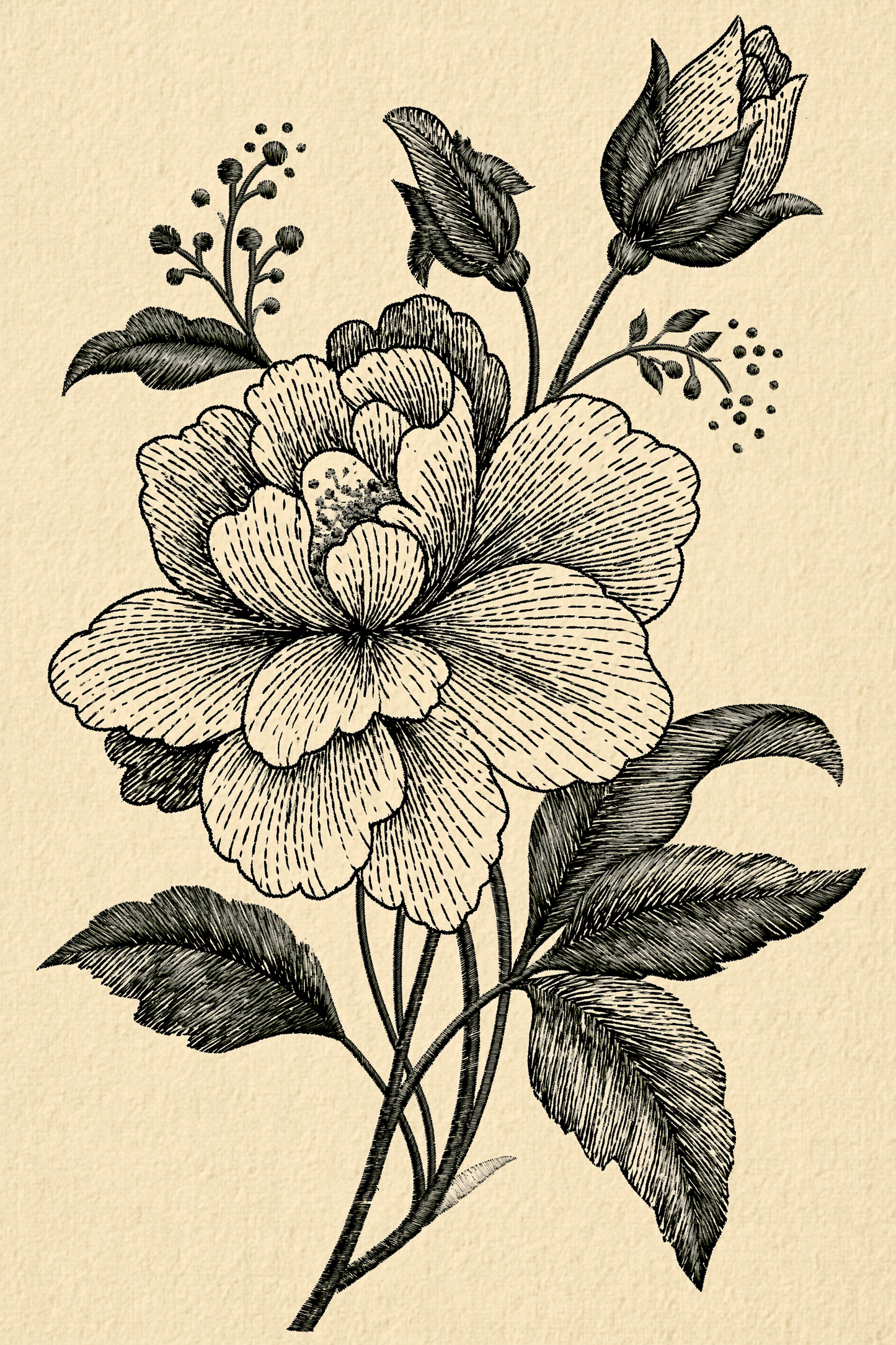 Appliqué Compatible Designs - Book 2 | Digital PDF Embroidery Design Book