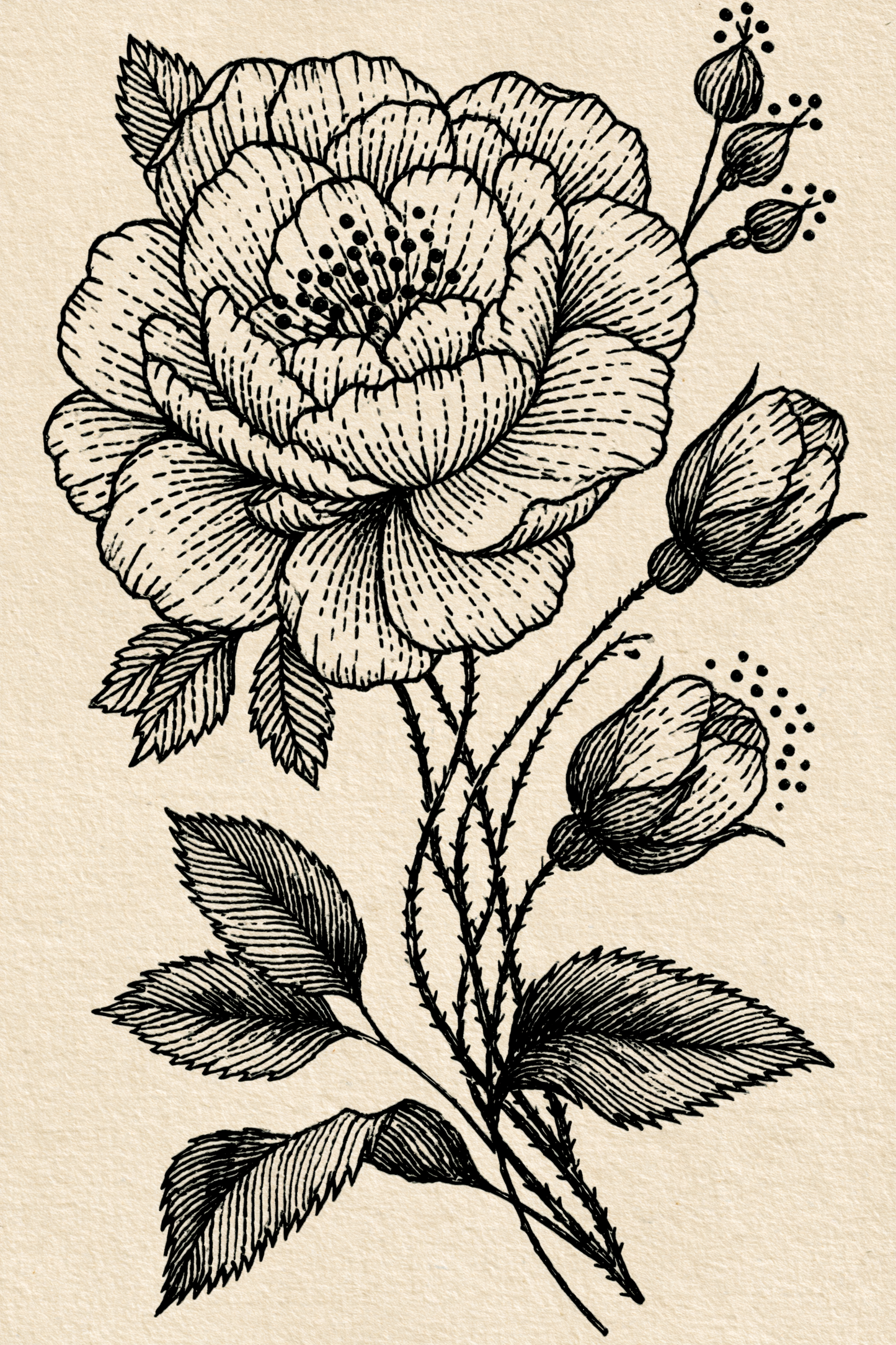 Appliqué Compatible Designs - Book 3 | Digital PDF Embroidery Design Book