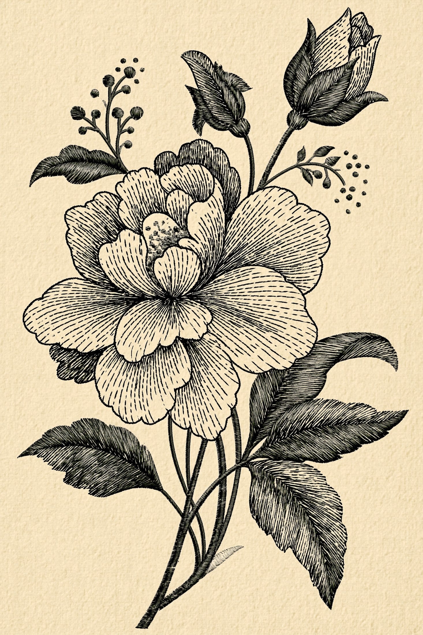 Digital PDF embroidery design bundle cover preview for Lace, Whitework & Delicate Detail Bundle 2, featuring curated embroidery patterns, motif library references and textile… - preview 25